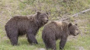 Eastern Arm Wildlife Experience